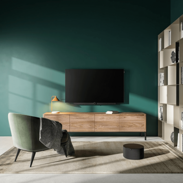 loewe bild i