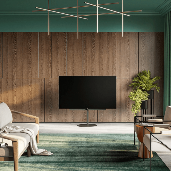 loewe bild i