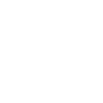 bluesound logo white