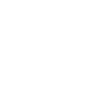 cayin logo white