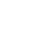 electrocompanite logo white