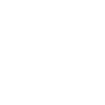 naim logo white