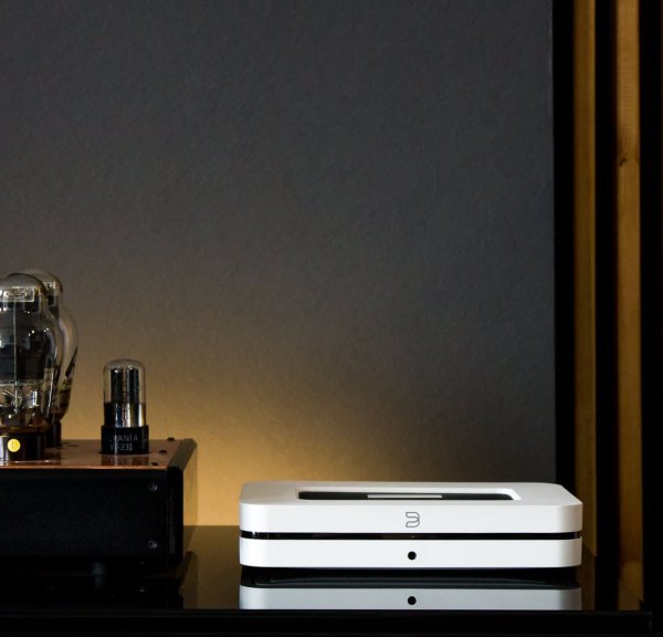 bluesound N130