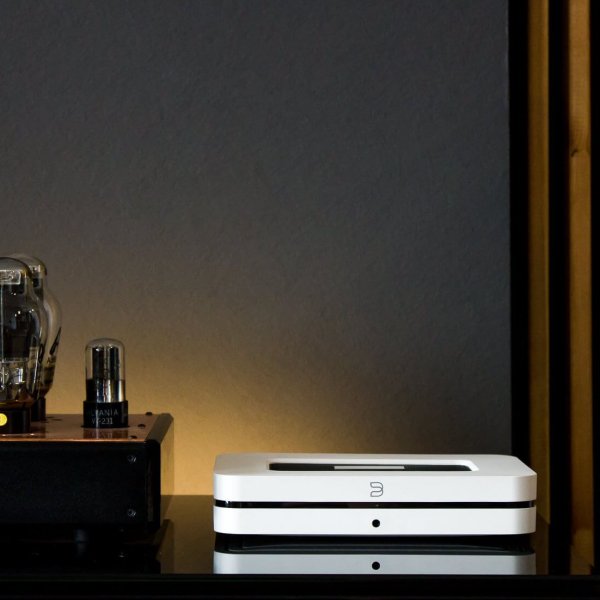 bluesound N130