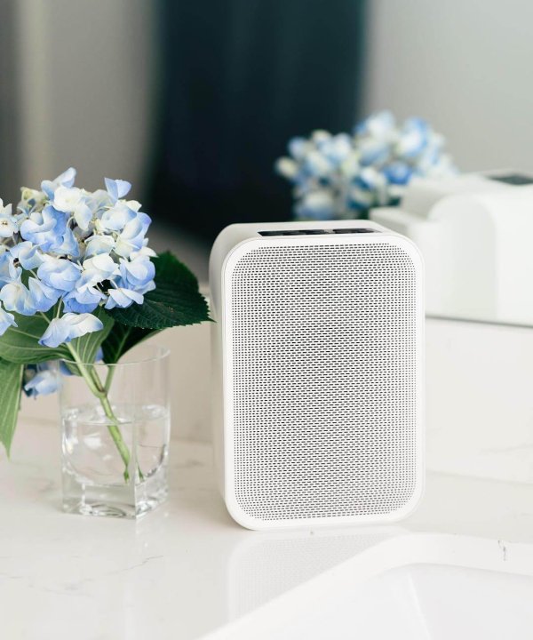 bluesound pulse flex 2i