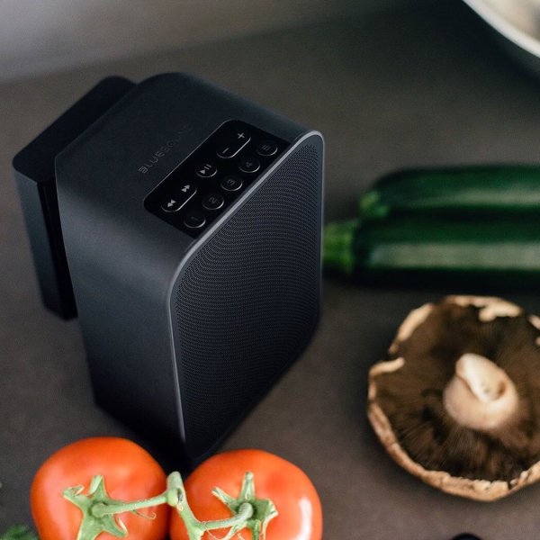bluesound pulse flex 2i