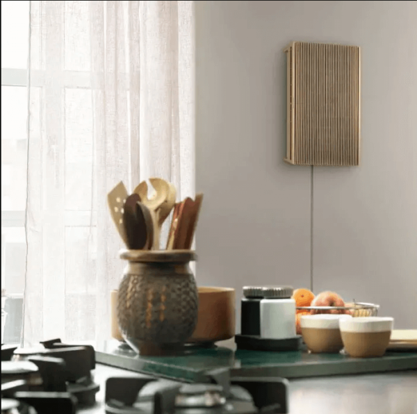 bang & olufsen beosound level