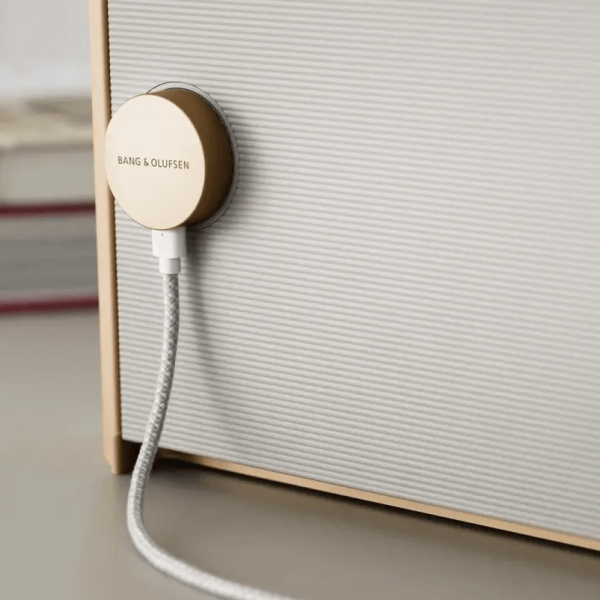 bang & olufsen beosound level