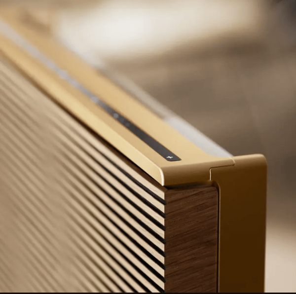 bang & olufsen beosound level