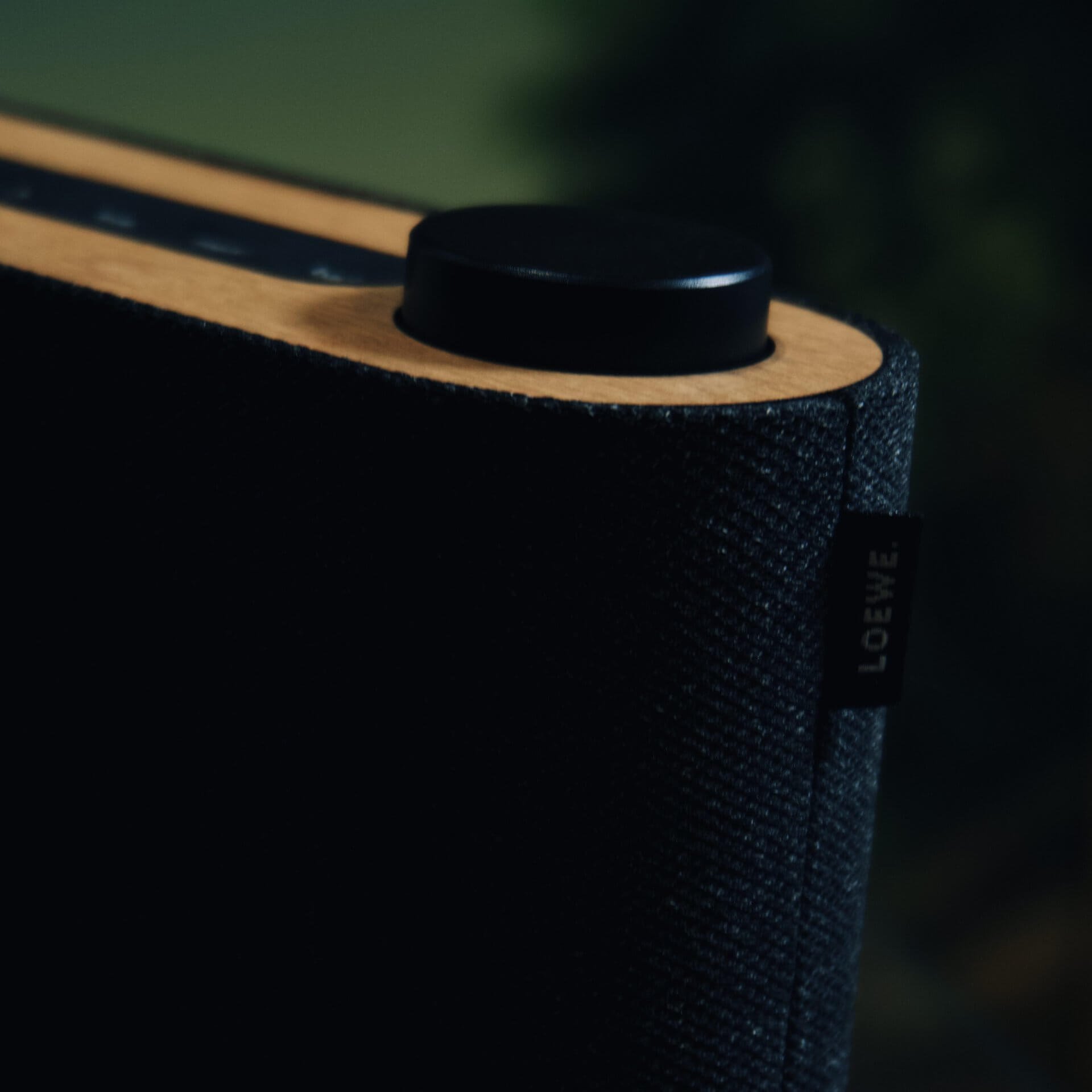 Loewe radio. frequency